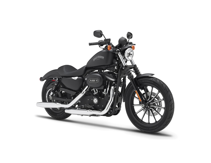 2014 Sportster Iron 883